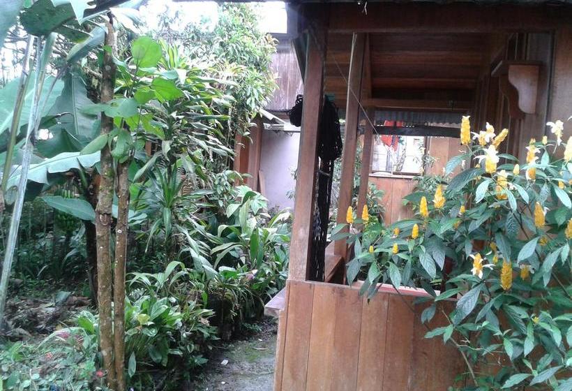 Bed and Breakfast Mindogreen Turismo Ecológico | Mindo | Pichincha | Ecuador 10