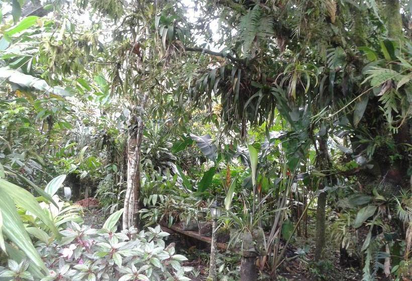 Bed and Breakfast Mindogreen Turismo Ecológico | Mindo | Pichincha | Ecuador 13