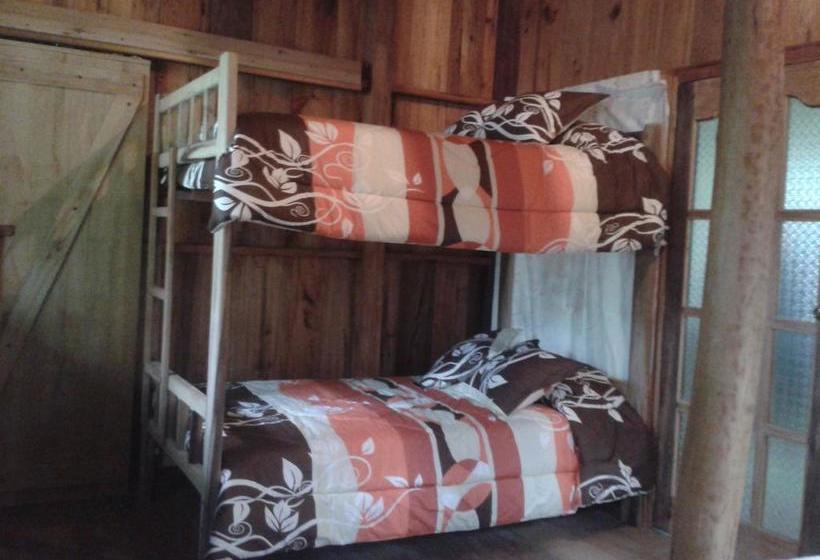 Bed and Breakfast Mindogreen Turismo Ecológico | Mindo | Pichincha | Ecuador 18