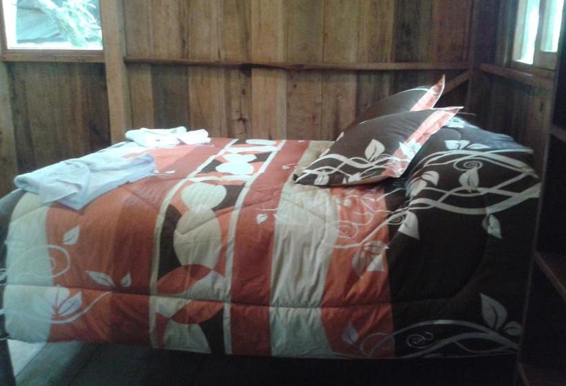 Bed and Breakfast Mindogreen Turismo Ecológico | Mindo | Pichincha | Ecuador 19