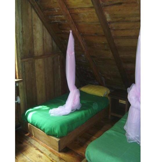 Bed and Breakfast Mindogreen Turismo Ecológico | Mindo | Pichincha | Ecuador 2
