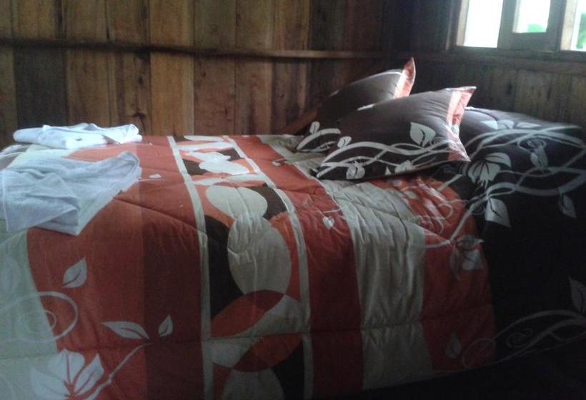 Bed and Breakfast Mindogreen Turismo Ecológico | Mindo | Pichincha | Ecuador 20