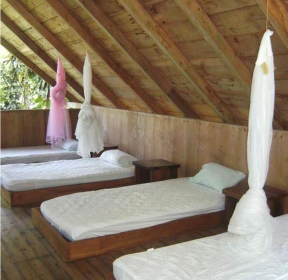 Bed and Breakfast Mindogreen Turismo Ecológico | Mindo | Pichincha | Ecuador 3