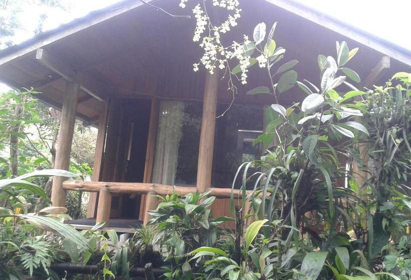 Bed and Breakfast Mindogreen Turismo Ecológico | Mindo | Pichincha | Ecuador 5