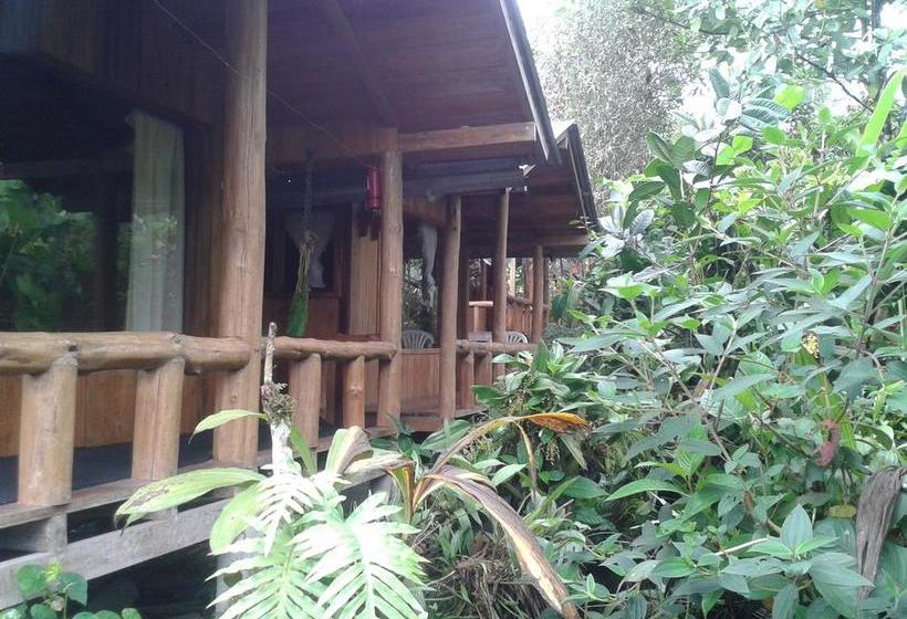 Bed and Breakfast Mindogreen Turismo Ecológico | Mindo | Pichincha | Ecuador 6