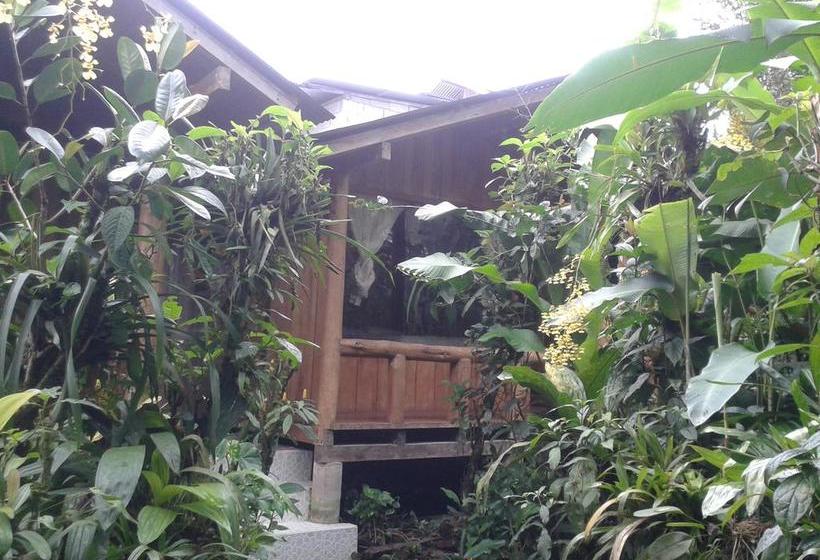 Bed and Breakfast Mindogreen Turismo Ecológico | Mindo | Pichincha | Ecuador 9