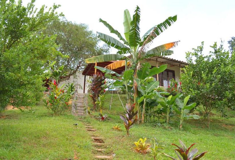 Sweet Harmony By Xarm Hotels | Minca | Magdalena | Colombia 2