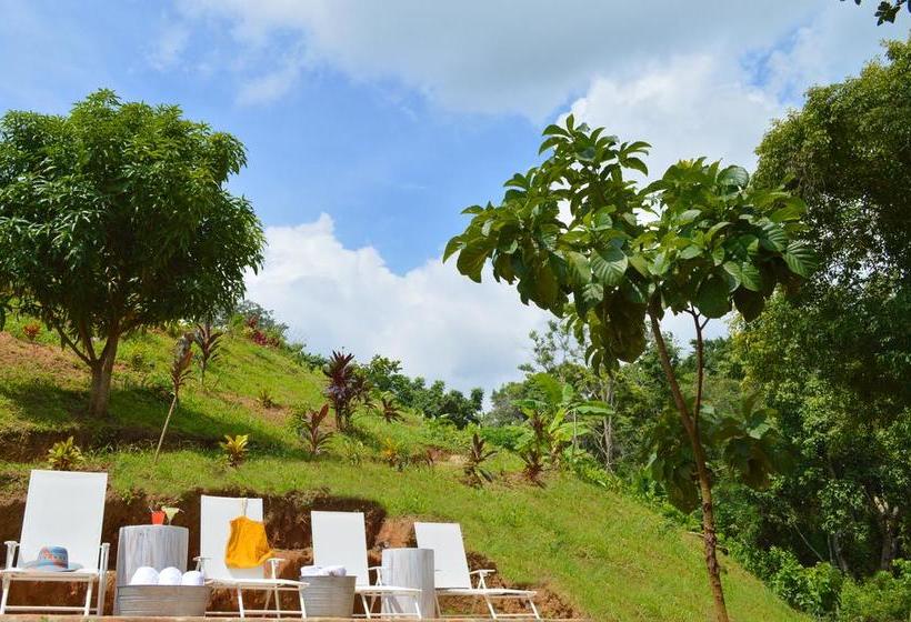 Sweet Harmony By Xarm Hotels | Minca | Magdalena | Colombia 6