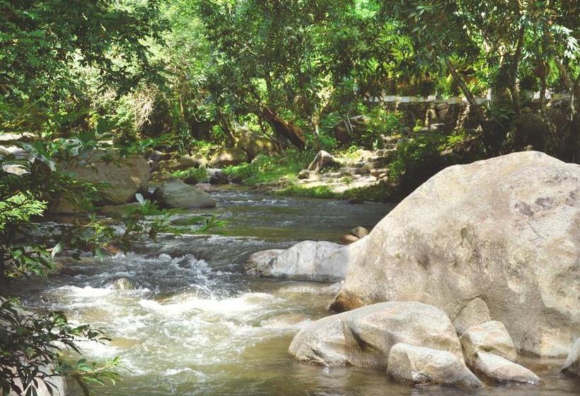 Sweet Harmony By Xarm Hotels | Minca | Magdalena | Colombia 7