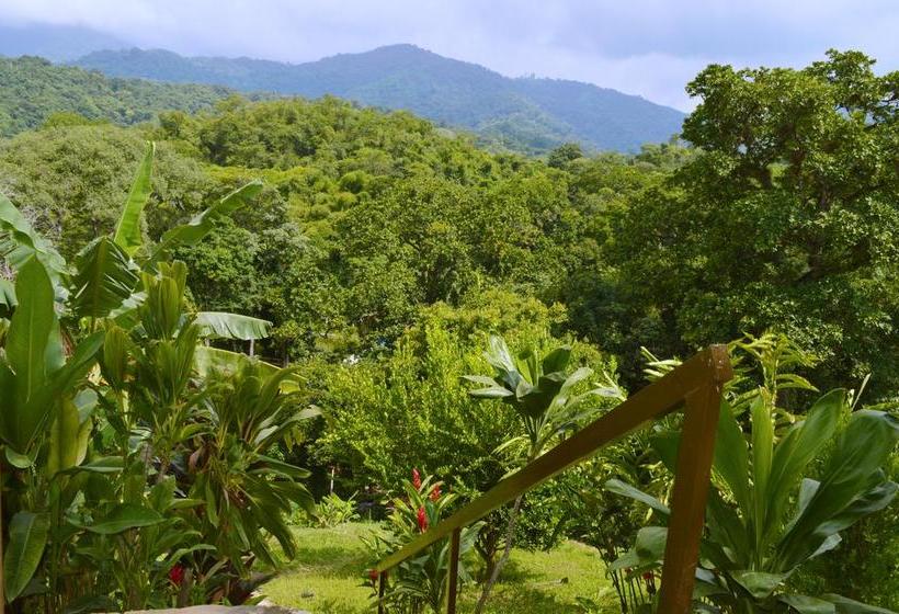 Sweet Harmony By Xarm Hotels | Minca | Magdalena | Colombia 8