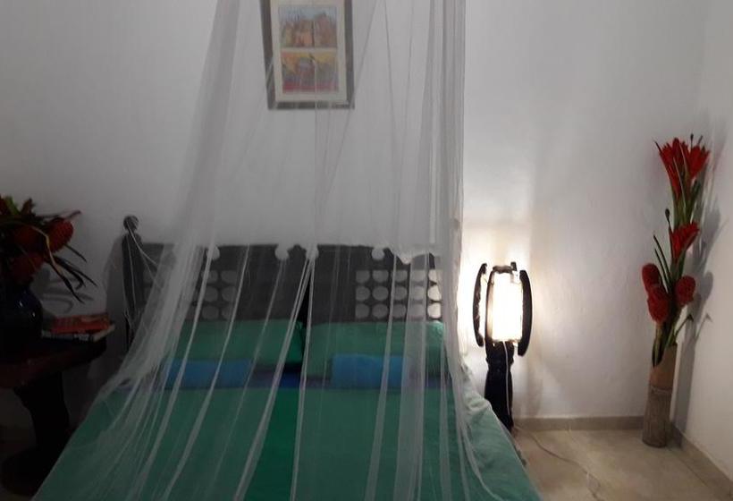 La Candelaria Coffee And Chocolate Farm B&b | Minca | Magdalena | Colombia 10