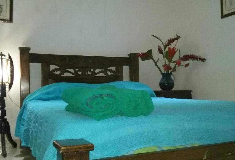 La Candelaria Coffee And Chocolate Farm B&b | Minca | Magdalena | Colombia 14