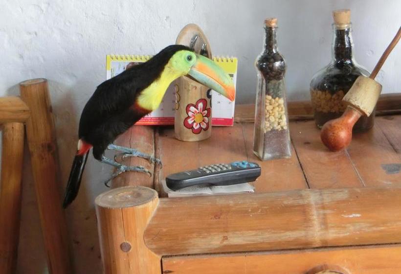 La Candelaria Coffee And Chocolate Farm B&b | Minca | Magdalena | Colombia 15