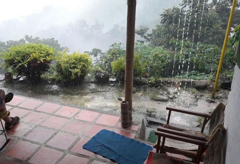 La Candelaria Coffee And Chocolate Farm B&b | Minca | Magdalena | Colombia 4