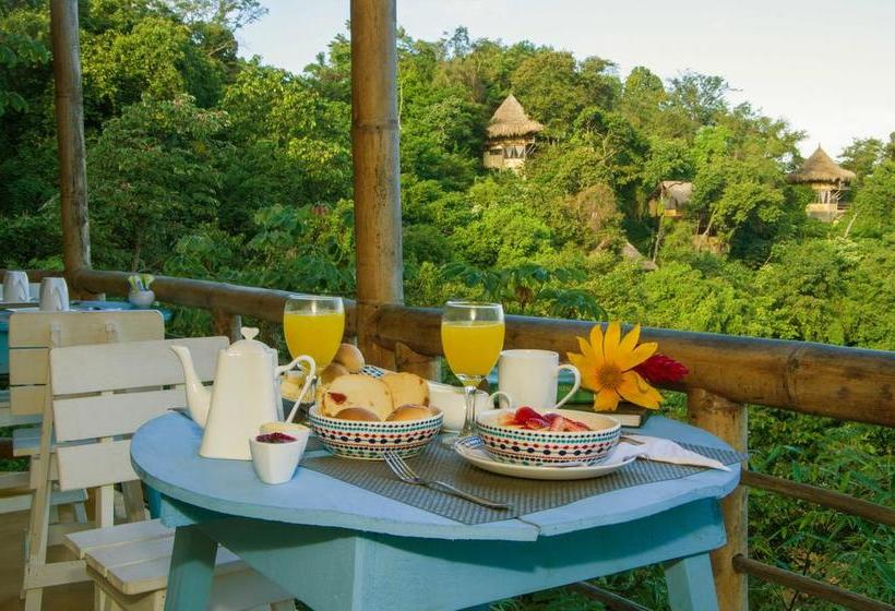 Minca Ecohabs By Xarm Hotels Magdalena