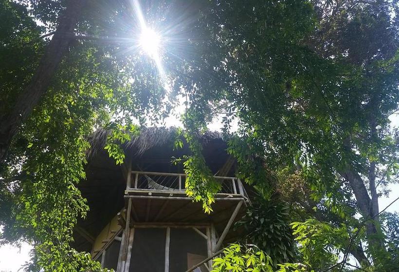 Minca Ecohabs By Xarm Hotels | Minca | Magdalena | Colombia 10