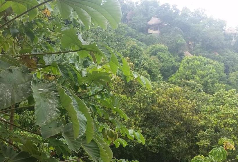 Minca Ecohabs By Xarm Hotels | Minca | Magdalena | Colombia 15