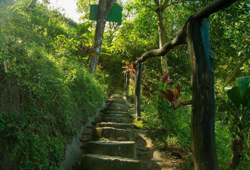 Minca Ecohabs By Xarm Hotels | Minca | Magdalena | Colombia 4