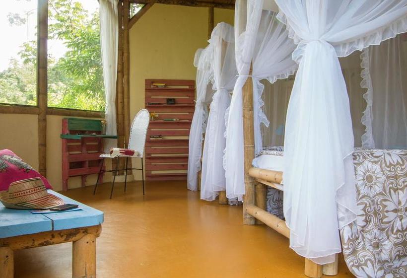 Minca Ecohabs By Xarm Hotels | Minca | Magdalena | Colombia 5