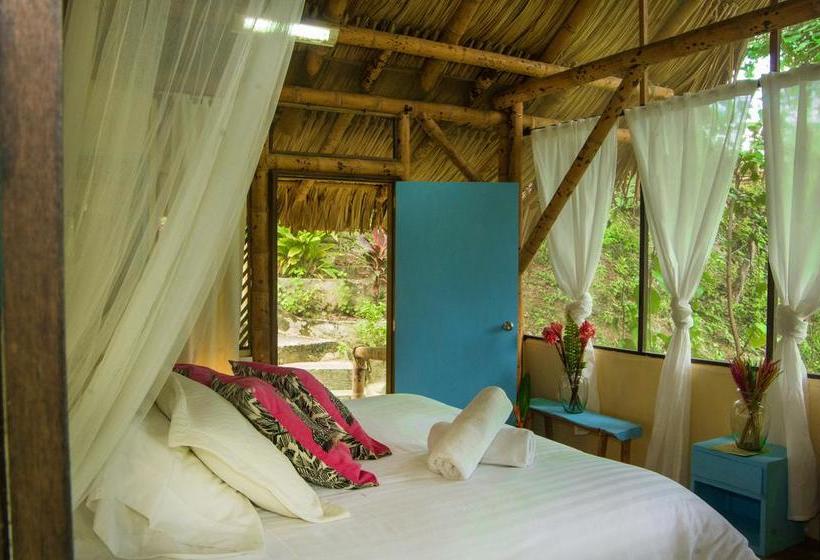 Minca Ecohabs By Xarm Hotels | Minca | Magdalena | Colombia 7