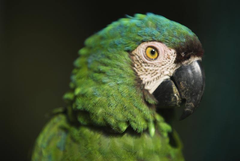 Kur Hotel & Bio Spa | Duitama | Boyaca | Colombia 8