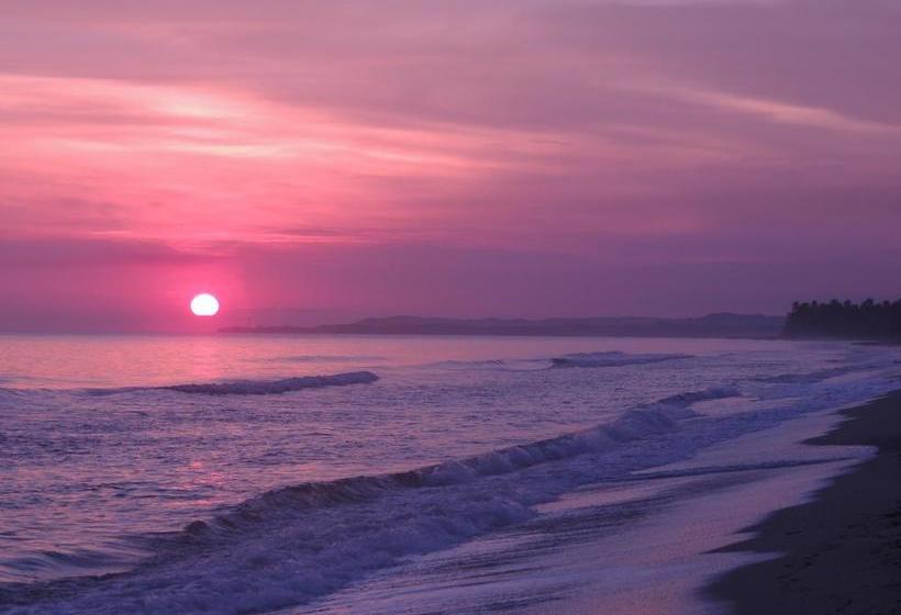 Resort Playa La Roca Eco | Palomino | La Guajira | Colombia 8