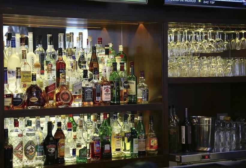 Hotel Casa Andina Select Tacna | Tacna | Tacna | Perú 19