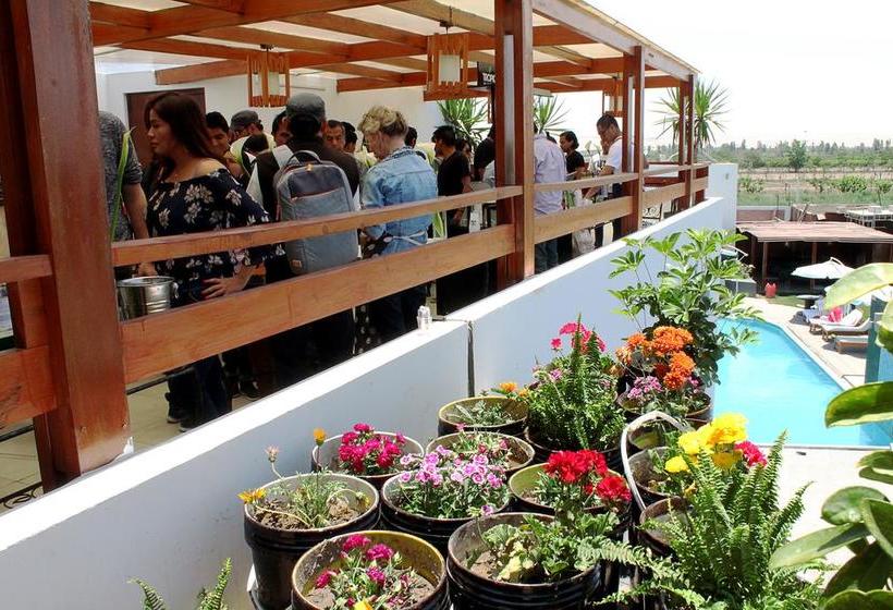 Hotel El Pallar | Ica | Ica | Perú 13