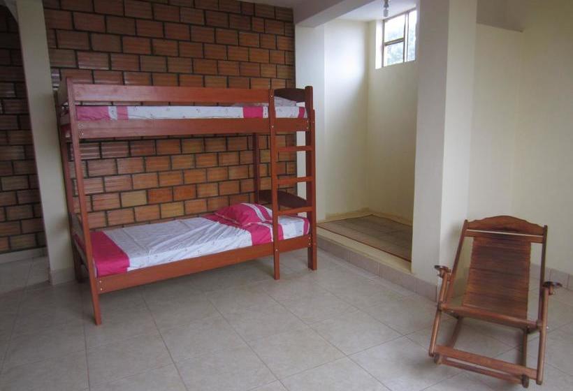 El Mural Hostel | Tarapoto | San Martín | Perú 20