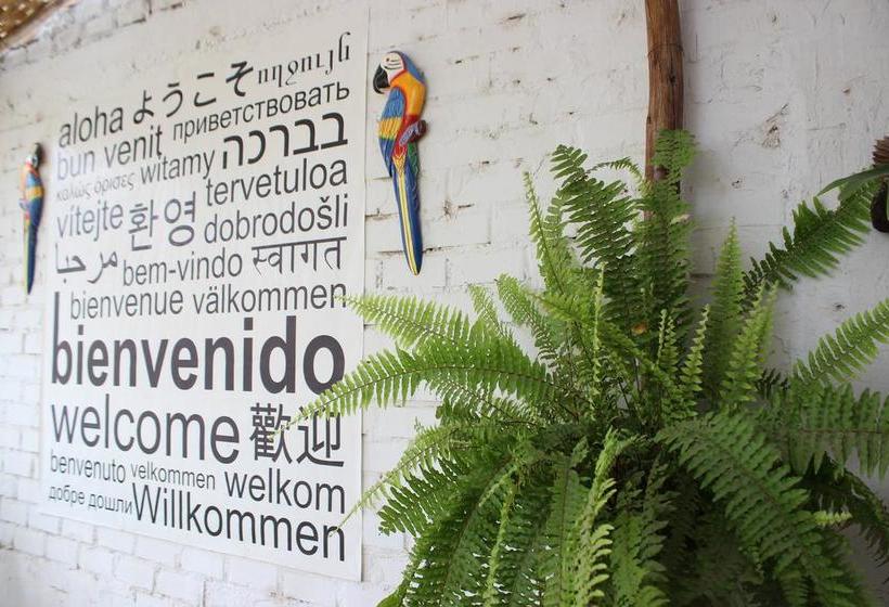 Bed and Breakfast Sol de Huacachina | Ica | Ica | Perú 10