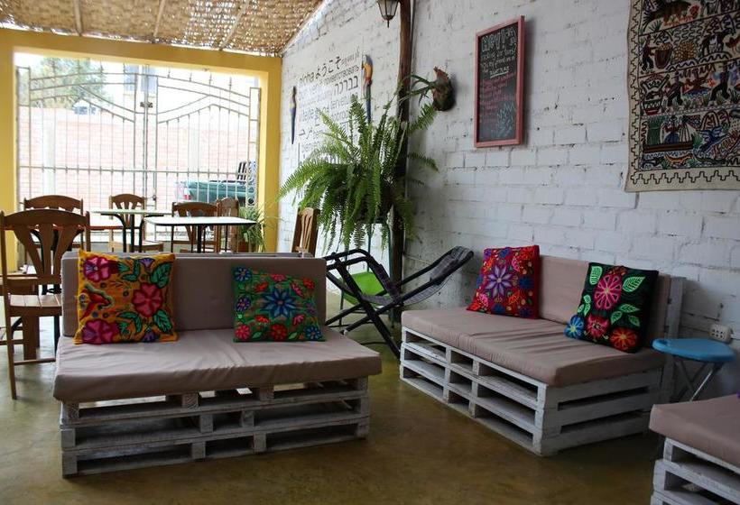 Bed and Breakfast Sol de Huacachina | Ica | Ica | Perú 9