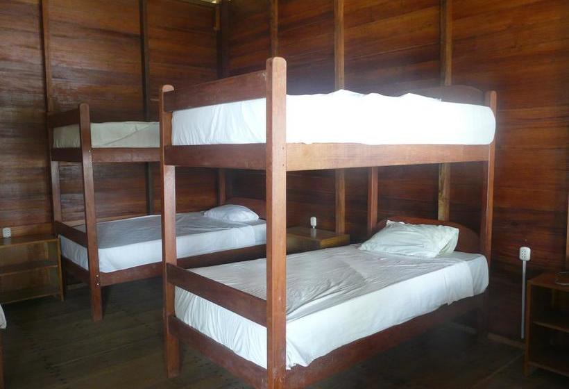 Puerto Maldonado Hostel | Puerto Maldonado | Tambopata | Perú 8