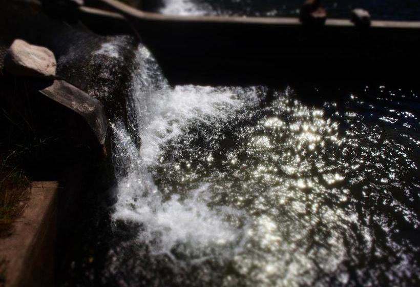 Bed and Breakfast Pakakuna Posada Gourmet | Urubamba | Urubamba | Perú 18