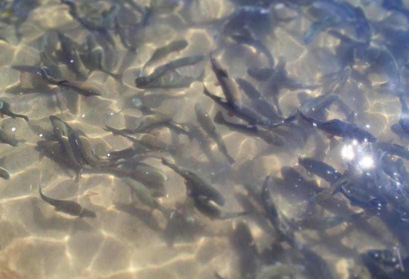 Bed and Breakfast Pakakuna Posada Gourmet | Urubamba | Urubamba | Perú 19