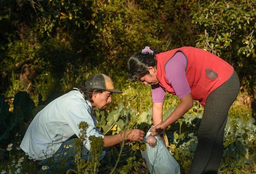Bed and Breakfast Pakakuna Posada Gourmet | Urubamba | Urubamba | Perú 7