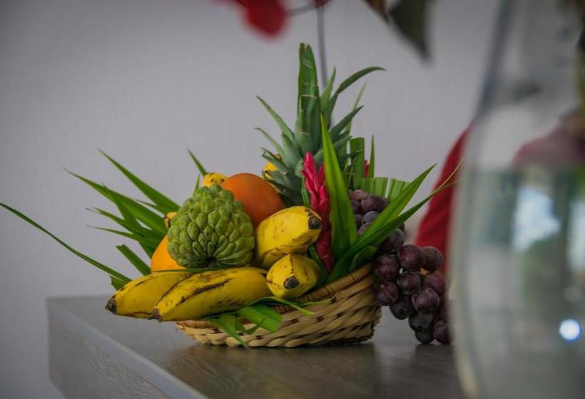 Bed and Breakfast Centrika | Tarapoto | San Martín | Perú 7