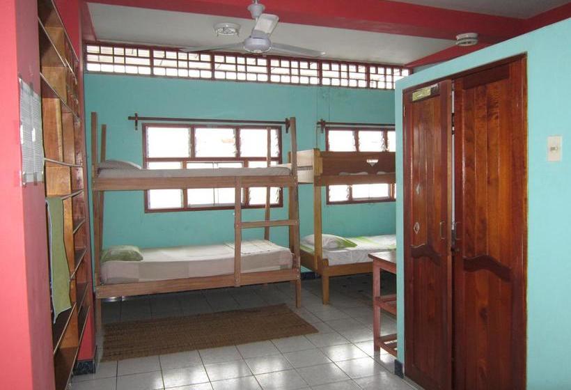 Green Track Hostel | Iquitos | Maynas | Peru 16