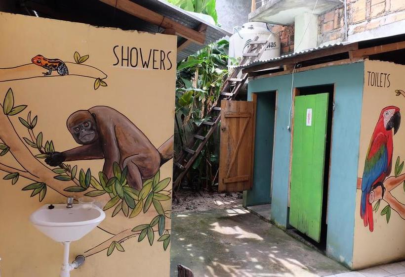 Green Track Hostel | Iquitos | Maynas | Peru 8