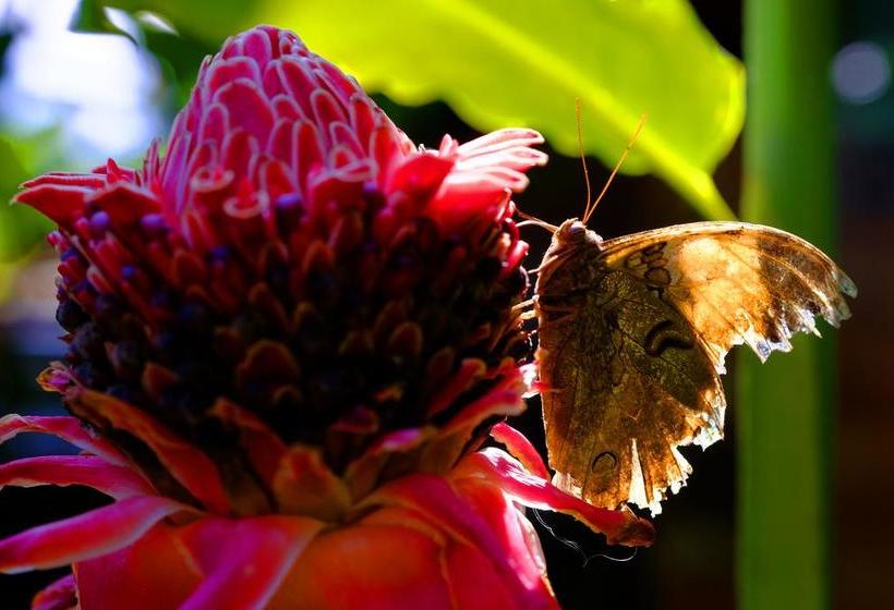 Hotel Puerto Mirador Moyobamba | Moyobamba | Moyobamba | Perú 8