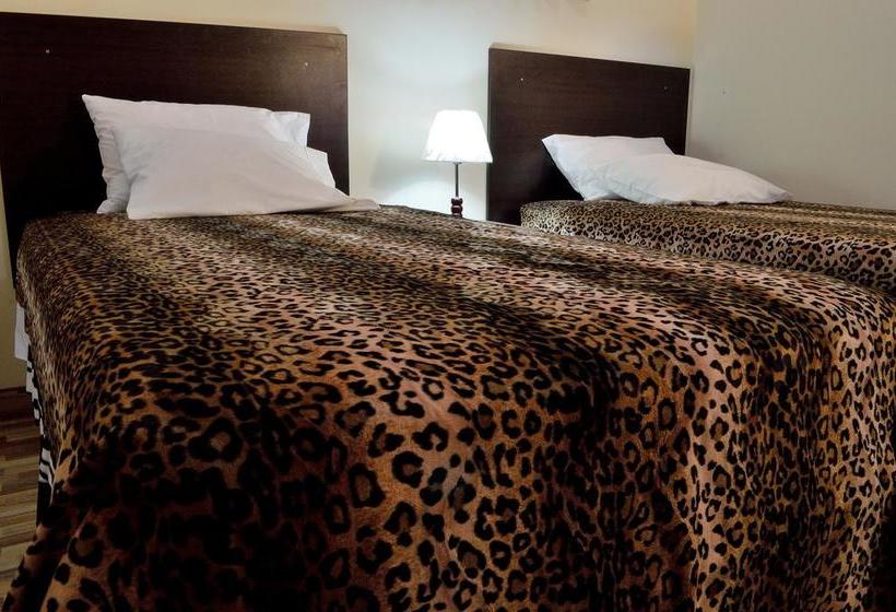 Hotel Hospedaje Casa Tacna | Tacna | Tacna | Perú 10