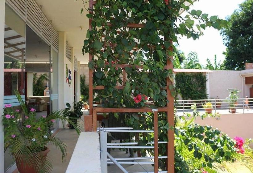 Bed and Breakfast La Casa Del Italiano | Tarapoto | San Martín | Perú 10