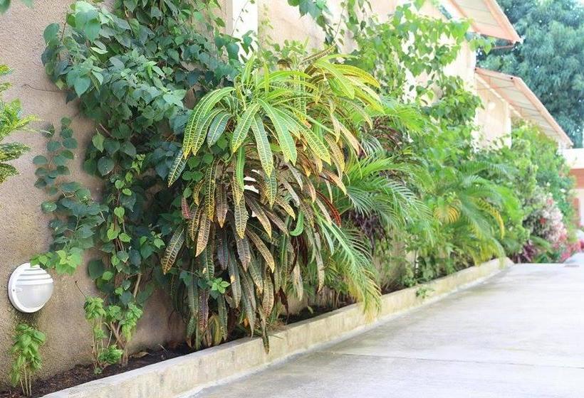 Bed and Breakfast La Casa Del Italiano | Tarapoto | San Martín | Perú 14