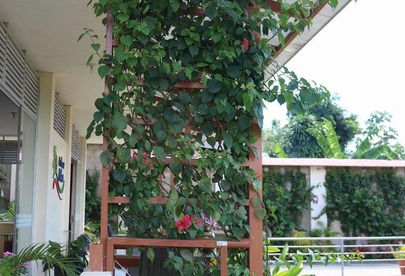 Bed and Breakfast La Casa Del Italiano | Tarapoto | San Martín | Perú 6