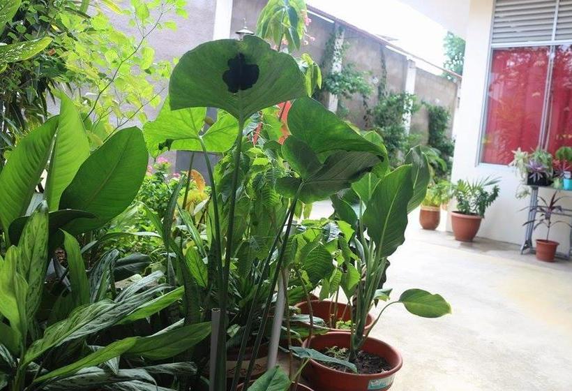 Bed and Breakfast La Casa Del Italiano | Tarapoto | San Martín | Perú 8