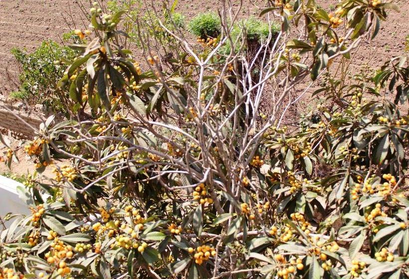 Hotel Regina | Lunahuaná | Cañete | Perú 14