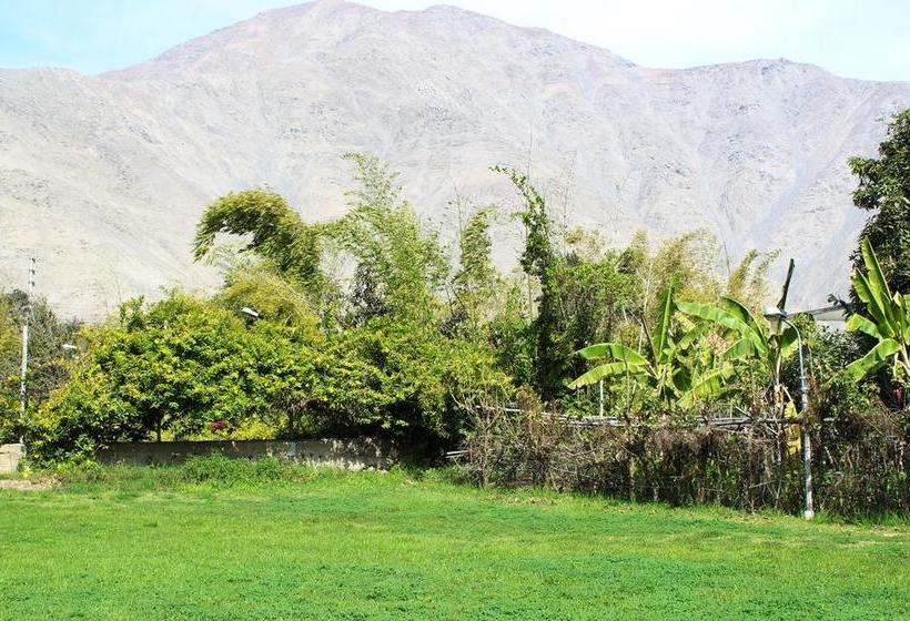 Hotel Regina | Lunahuaná | Cañete | Perú 5