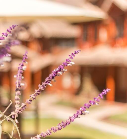 Hotel Wayqey Lodge | Urubamba | Urubamba | Perú 1