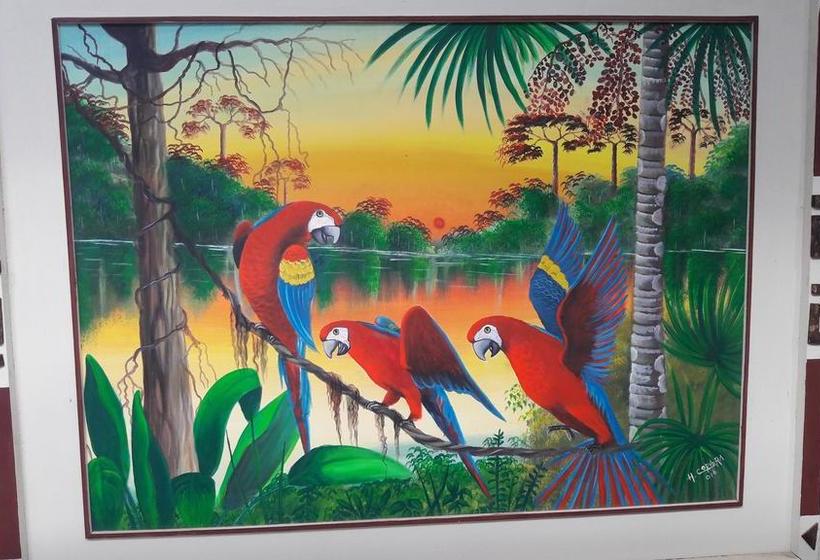 Hotel Botón De Oro | Puerto Maldonado | Tambopata | Perú 12