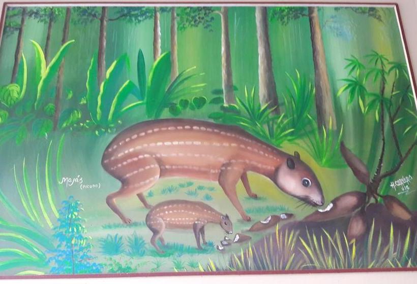 Hotel Botón De Oro | Puerto Maldonado | Tambopata | Perú 13