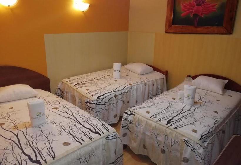 Hotel Botón De Oro | Puerto Maldonado | Tambopata | Perú 6